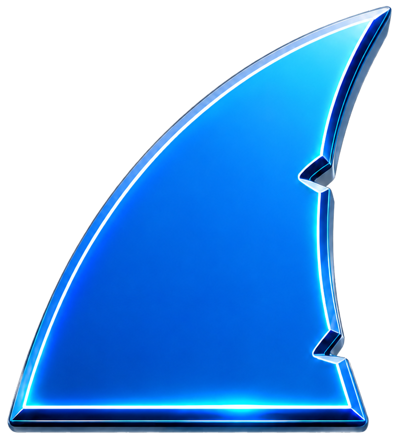 Sharks Fin